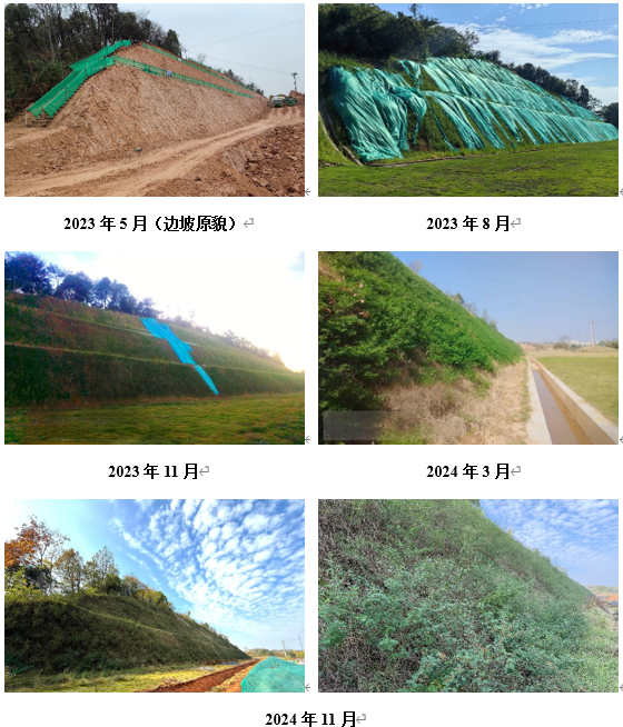 1743039412798018560.png image.png